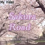 MyMovie)初投稿toVimeo-Sakura Road
