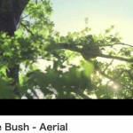 music)KateBush-Aerial他