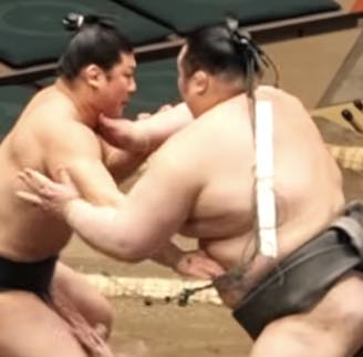 sumo_sagari